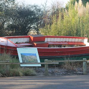 Boat in Glorious Grasses Garden Chester Zoo 29th November 2012