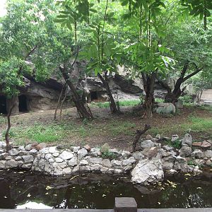 South China Tiger enclosure 1