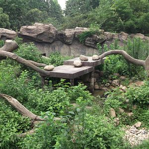 Sunbear enclosure 1