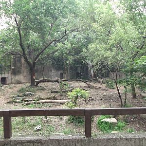 South China (?) Tiger enclosure 3