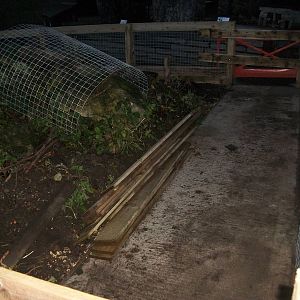 Sewerby Zoo, new Guinea Pig exhibit under construction 30th November 2012