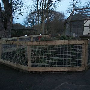 Sewerby Zoo, new Guinea Pig exhibit under construction 30th November 2012