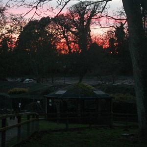 Sunset over Sewerby Zoo 30th November 2012