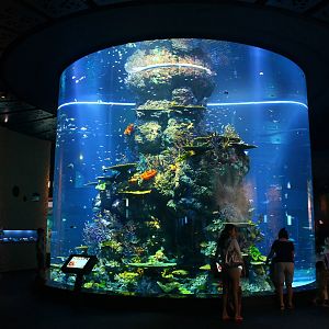 S.E.A. Aquarium - Strait of Malacca and Andaman Sea