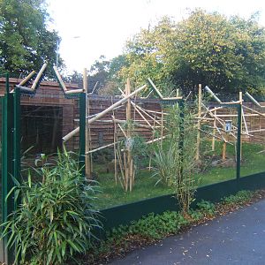 View of the Aloatran gentle Lemur exhibit
