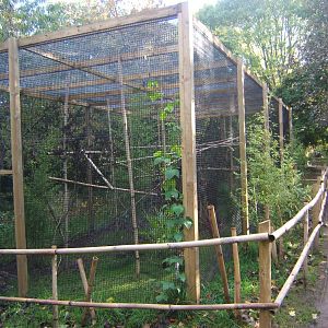 View of new Pheasant Aviary