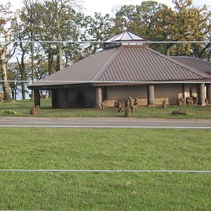 View of Baboon House