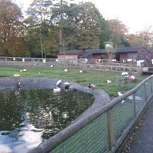 Walton Hall Childrens Zoo