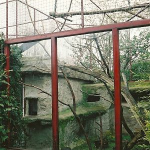 Ring-tailed Lemur exhibit 16th April 2004