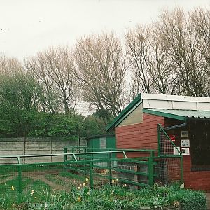 Brazilian Tapir accommodation 16th April 2004