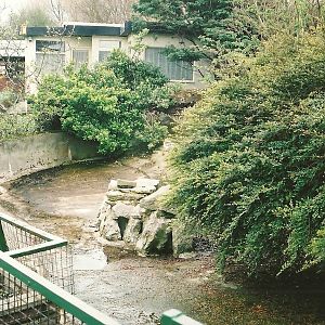 Empty Penguin exhibit 16th April 2004