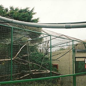 Primate cage 16th April 2004