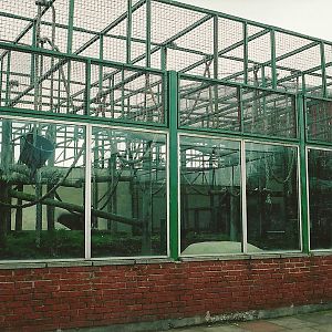 Chimpanzee exhibit 16th April 2004