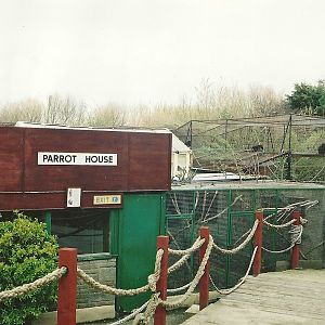 Parrot House; also showing Gibbons to the rear 16th April 2004