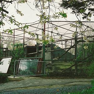 Mandrill exhibit partly demolished 16th April 2004