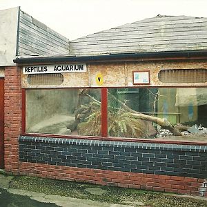 Reptile House and Aquarium 16th April 2004