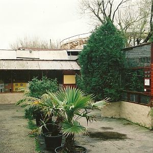 Toucan aviary on right, cannot recall the remainder! 16th April 2004