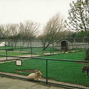 Paddocks 16th April 2004