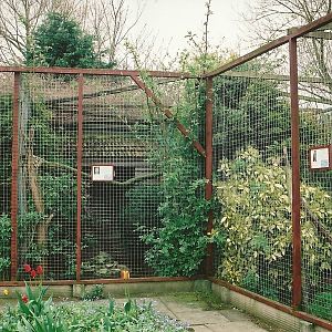 Owl aviaries 16th April 2004
