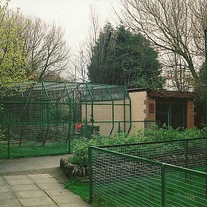 Primate cages 16th April 2004