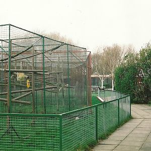 Primate cages 16th April 2004