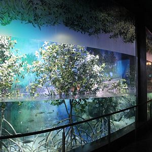 S.E.A. Aquarium - Bay of Bengal and Laccadive Sea