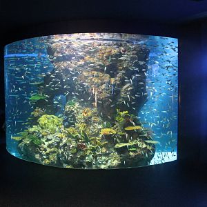 S.E.A. Aquarium - Ocean Journey