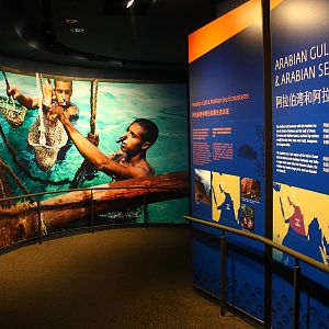S.E.A. Aquarium - Arabian Gulf and Arabian Sea