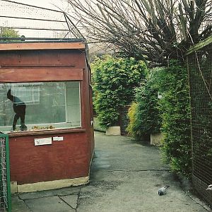 Gibbon exhibit left, waterfowl right 16th April 2004