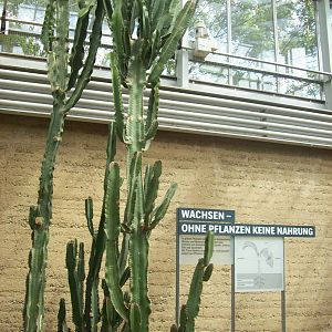 etosha house interior