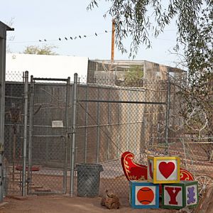 off exhibit bird run