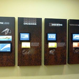 Graphics - Small Mammal House 12-4-12