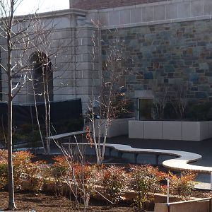 Benches in front of Elephant House