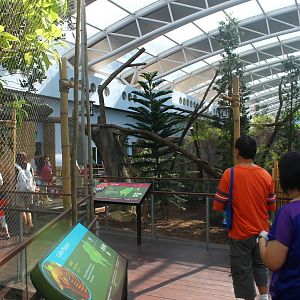 Yangtze River - Giant Panda Forest
