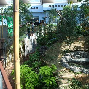 Yangtze River - Giant Panda Forest