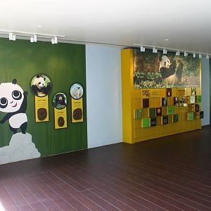 Yangtze River - Giant Panda Forest