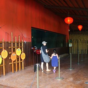 Yangtze River - Chinese Sturgeon exhibit