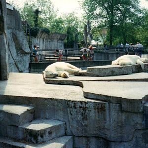 Artis polar beras 1994