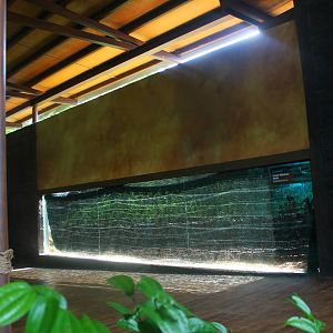 Mekong River - Paddy Field exhibit