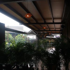 Mekong River - Crab-eating Macaque exhibit