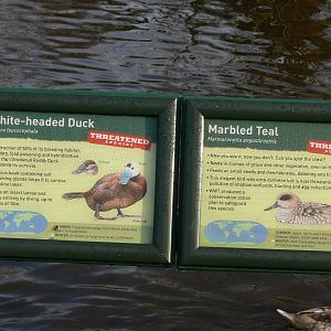 Signage example at Martin Mere WWT 08/12/12