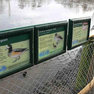 Signage Example at Martin Mere WWT 08/12/12