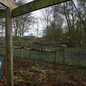 Beaver exhibit at Martin Mere WWT 08/12/12