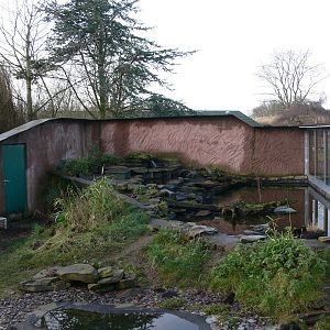 Otter exhibit at Martin Mere 08/12/12