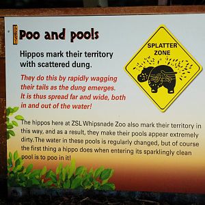 Hippo Signage at Whipsnade, 07/12/12