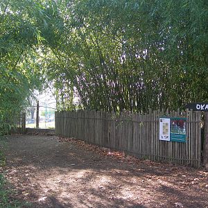 Back Part of the Okapi exhibit