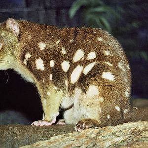 Scanned Columbus Zoo Photos 2006