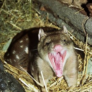 Scanned Columbus Zoo Photos 2006