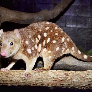 Scanned Columbus Zoo Photos 2006