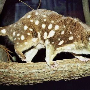 Scanned Columbus Zoo Photos 2006